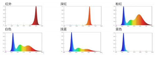 人生就是博-尊龙凯时(中国优质)股份有限公司