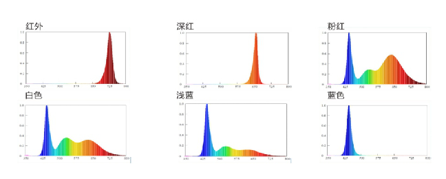 人生就是博-尊龙凯时(中国优质)股份有限公司